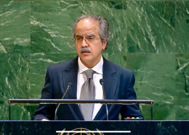 Pakistan Calls for Immediate Ceasefire and Political Solution in Palestine at UNGA Veto Debate