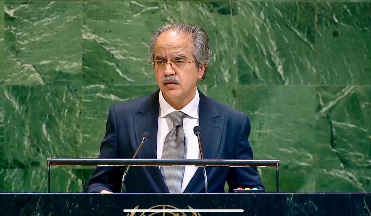 Pakistan Calls for Immediate Ceasefire and Political Solution in Palestine at UNGA Veto Debate