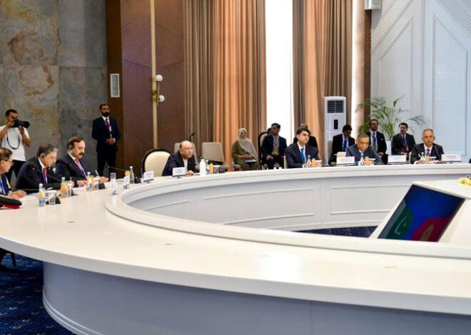 Pakistan, Kyrgyzstan Reaffirm Commitment to Strategic Partnership