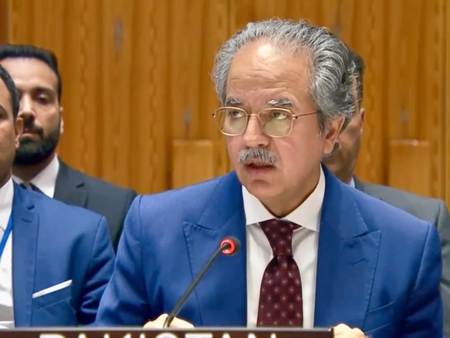 Pakistan Urges Full Implementation of UN Security Council Resolution 2803 to Secure Gaza Ceasefire and Advance Palestinian Statehood